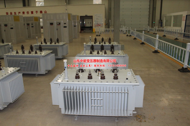 衡水S20变压器